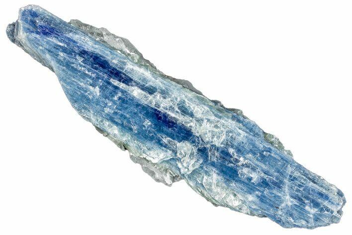 Vibrant Blue Kyanite Crystals In Quartz - Brazil #260742